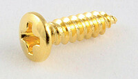 AP GS 0001-​002 PG-​Schrauben (20) gold  